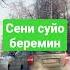сени суйо беремин