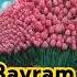 Ayyom MUBORAK Happy Muborak Bayram Tabrik Sher Tilak Love Hayit Eidmubarak EID Idmubarak
