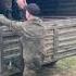 За наших сынов За Россию Ура Ура Ура