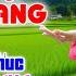 Vọng Kim Lang LK Bolero Cha Cha Toàn Bài Hay Phối Mới Cực Chuẩn Nghe Thử Ai Dè Nghiện Luôn