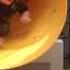 Vullo Bryce Jayce Vance Slide A
