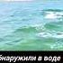 СТОП КАРД ЭТО КОНЕЦ музыка юмор Reels стопкард рекомендации рек Fyp Shorts