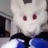 Hey How You Doing Well I M Doing Just Fine I Lied I M Dying Inside Fursuit Dance