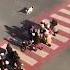 Heroic Dog Guards Kids Crossing Road Viral Sensation