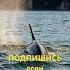 Колымский край