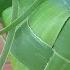 HANGING RICE PUSO COCONUT LEAVES