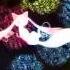 Anime Mix Amv This Is Gonna Hurt