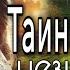 Таинственная незнакомка