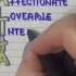 Meaning Of The Name NATALIJA Meaning Name Natalija