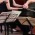 Cortona Trio Plays Schubert Piano Trio No 1 In B Flat Major D 898 I Allegro Moderato