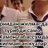 Журалар