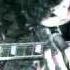 Edane Living Dead Official Music Video