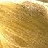 Laniakea Our Home Supercluster