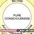 Panchakosha 5 Sheaths Covering Your True Nature Pure Consciousness Ashtang Yoga Vedant MML