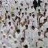 Mubarak Ho Tum Sabko Hajj Ka Mahina Natsharif Isalmicshort Hajj2025