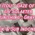 JP Ver Gaze Of Wind Liv Solaeter OST Punishing Gray Raven Lirik Sub Indonesia