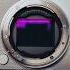 The Sigma BF Is Way Better Than I Expected Ultimate Compact Camera