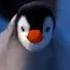 BEST 5 Permission Pingu Noot Noot