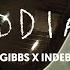 Gibbs X INDEB Zodiak