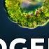 Getting To The Root Of Nitrogen Fixation