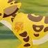 The Lion Guard Training With Fuli Official Disney Channel Africa