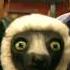 Zoboomafoo Theme Song