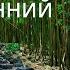 Ветер Осенний