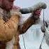 Danish Viking Blowing His Horn Ar The Holy Waterfall Goðafoss