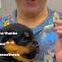 Ranking The Best Dog Veterinarian Moments