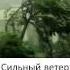 Видеоурок по биологии Экологические факторы среды