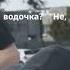 анекдот про Петра Петровича и гаишника анекдоты юмор Shorts