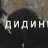 Дили шикаста