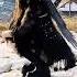 Industrial Dance Ebm Cybergoth Goth Gothic Cybergoth