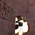 Quake Counter Strike