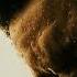 The Weeknd Justice Wake Me Up Pitched