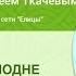 Крещение Господне Протоиерей Андрей Ткачев