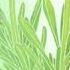 Lifestyle Healthy Gardens ELLE Decoration UK