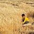 From Struggle To Salvation A Nomadic Woman S Tenacious Effort After Illness