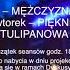 Przeglad Filmów W Ramach Festiwalu Opętani Literaturaturą