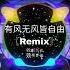 王一佳 有风无风皆自由 DJ Remix 2024 抖音热门歌曲 New Ver Top Tiktok Songs