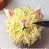 So Many Times I Said A Ragamuffin Is A Breed Of Muffin Instead Of Saying A Breed Of Cat