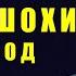 АФЗАЛШОХИ САФАРЗОД СОЛИ НАВИ с 2021 Afzalshoi Safarzod