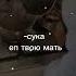 Сука ёб твою мать