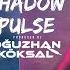 DJ Oğuzhan Köksal Shadow Pulse ClubRemix 2025 Dancemusic