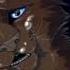 Смерти Котов Воителей 1 часть кв котывоители Warriorcats эдит врек Shorts