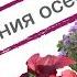 Растения осени в моём саду Лес дремучий