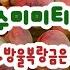 김포명심e다육 여름특가 방울복랑금 수미미티2 1 행사 팅커벨금 라울금 후레뉴 오팔리나금 임부리카타금 니카금등 유료광고포함