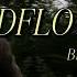 WILDFLOWER Billie Eilish Lyrics