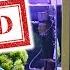 Testing Refugium Part II What Really Happened And What S Next BRStv Investigates