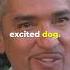 Cesar S Secret Trick To Read Dogs Instantly Dogwhisperer Dog Cesarmillan